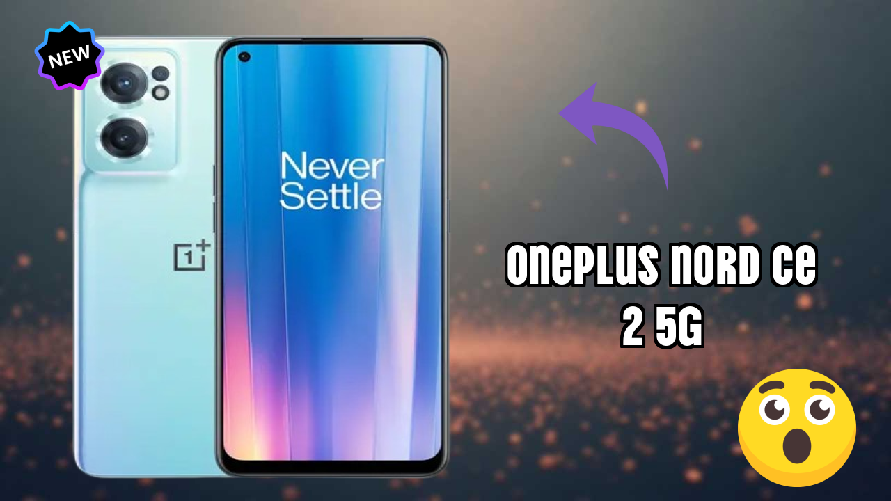 OnePlus Nord CE 2 5G Camera Review: 64 MP + 8 MP + 2 MP Rear Camera Photo Quality